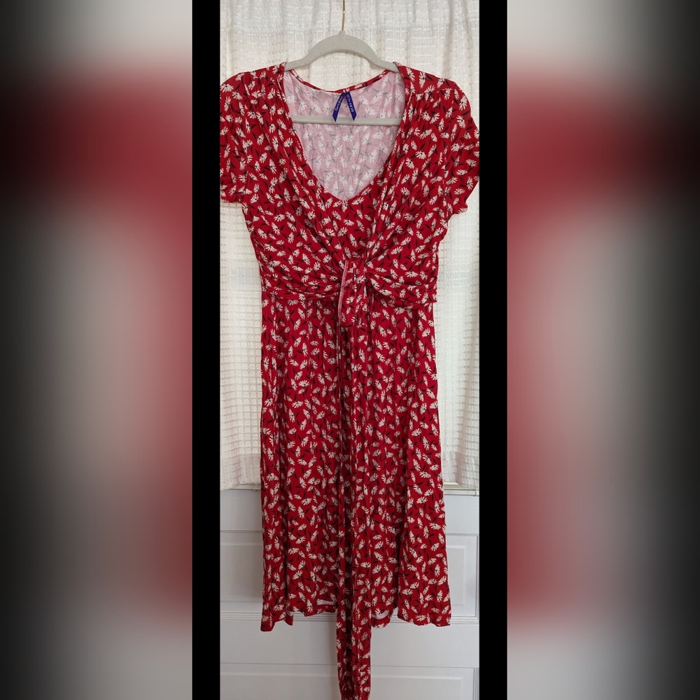 Seraphine Maternity and Nursing Dress